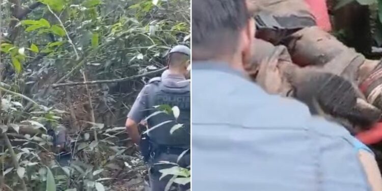 Suspeito de tentativa de furto é atacado por quatro pitbulls ao invadir chácara em Franca, SP