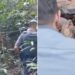 Suspeito de tentativa de furto é atacado por quatro pitbulls ao invadir chácara em Franca, SP