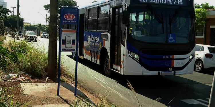 Levantamento aponta que 32% dos pontos de ônibus têm cobertura em Ribeirão Preto, SP